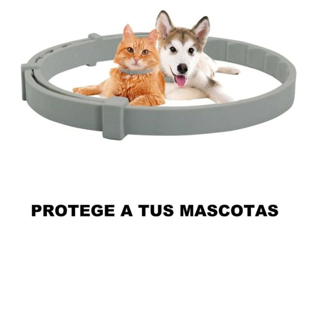 OFERTA 2 x 1 - COLLAR ANTIPULGAS PARA MASCOTAS